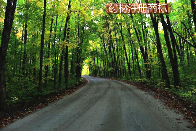 藥材商標(biāo) 藥材商標(biāo)