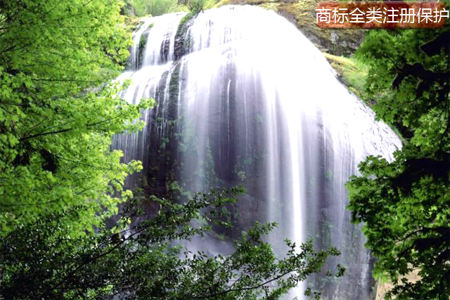 商標(biāo)全類注冊保護(hù) 商標(biāo)全類注冊保護(hù)