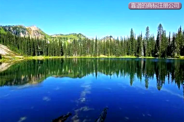 靠譜的商標(biāo)注冊(cè)代理公司